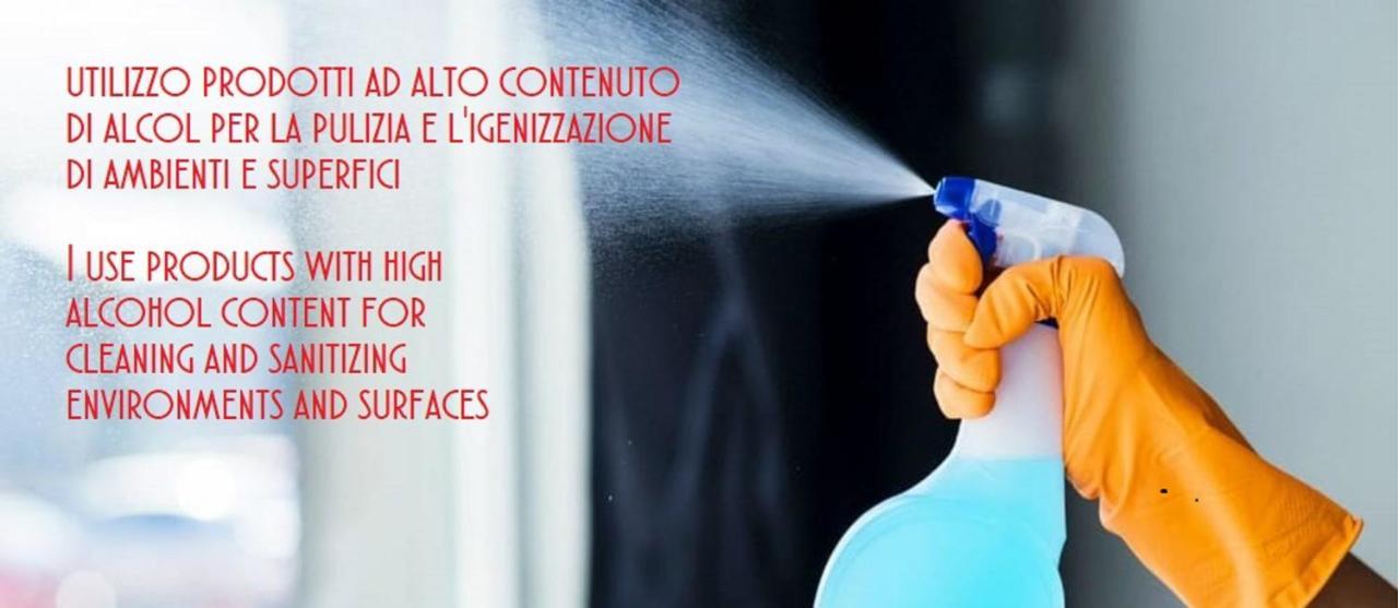 Appartamento Monolocale Con Piscina A Trastevere Roma
